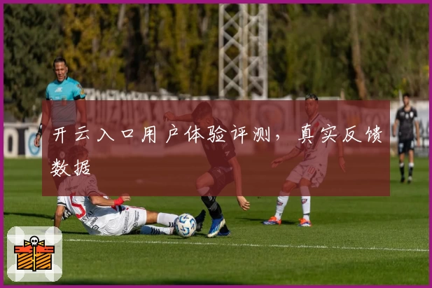 开云入口用户体验评测，真实反馈数据