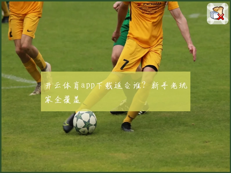 开云体育app下载适合谁？新手老玩家全覆盖