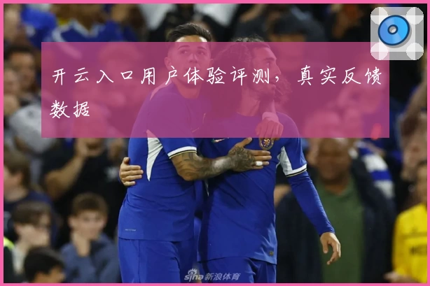 开云入口用户体验评测，真实反馈数据
